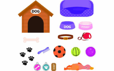 Jouets, accessoires et matériel pour chiot Husky
